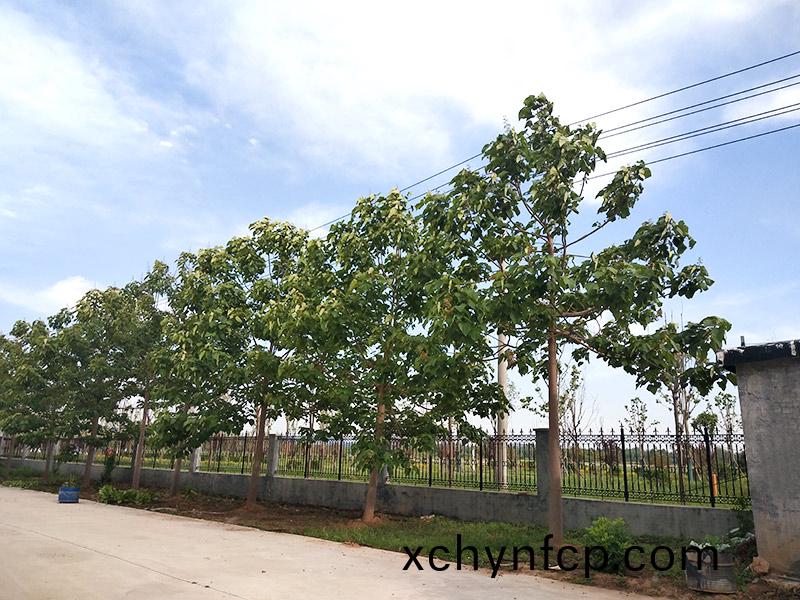 濟寧(ning)市大(da)氣(qi)環(huan)境質量(liang)2015年(nian)12月(yue)份13縣(xian)市(shi)區(qu)排名(ming)