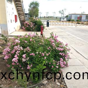 廠(chang)景(jing)圖(tu)